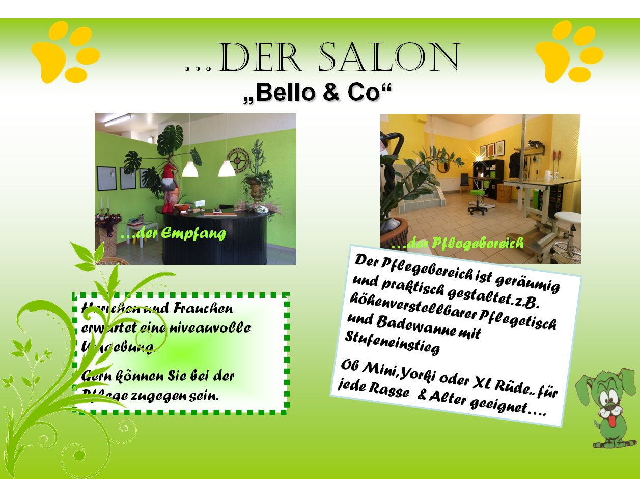 Salon