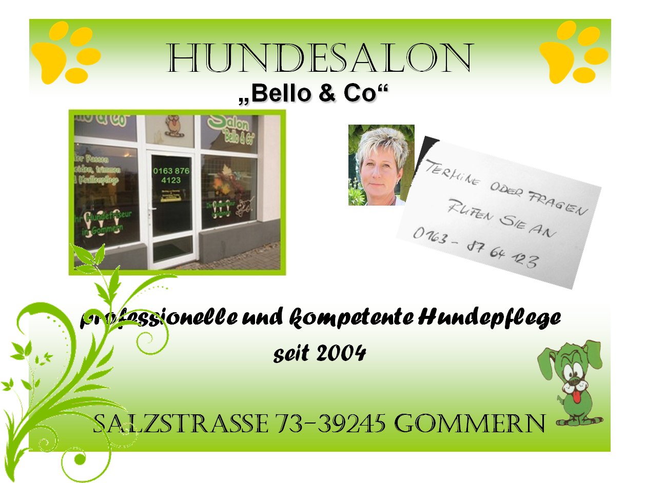 Hundesalon Bello & Co